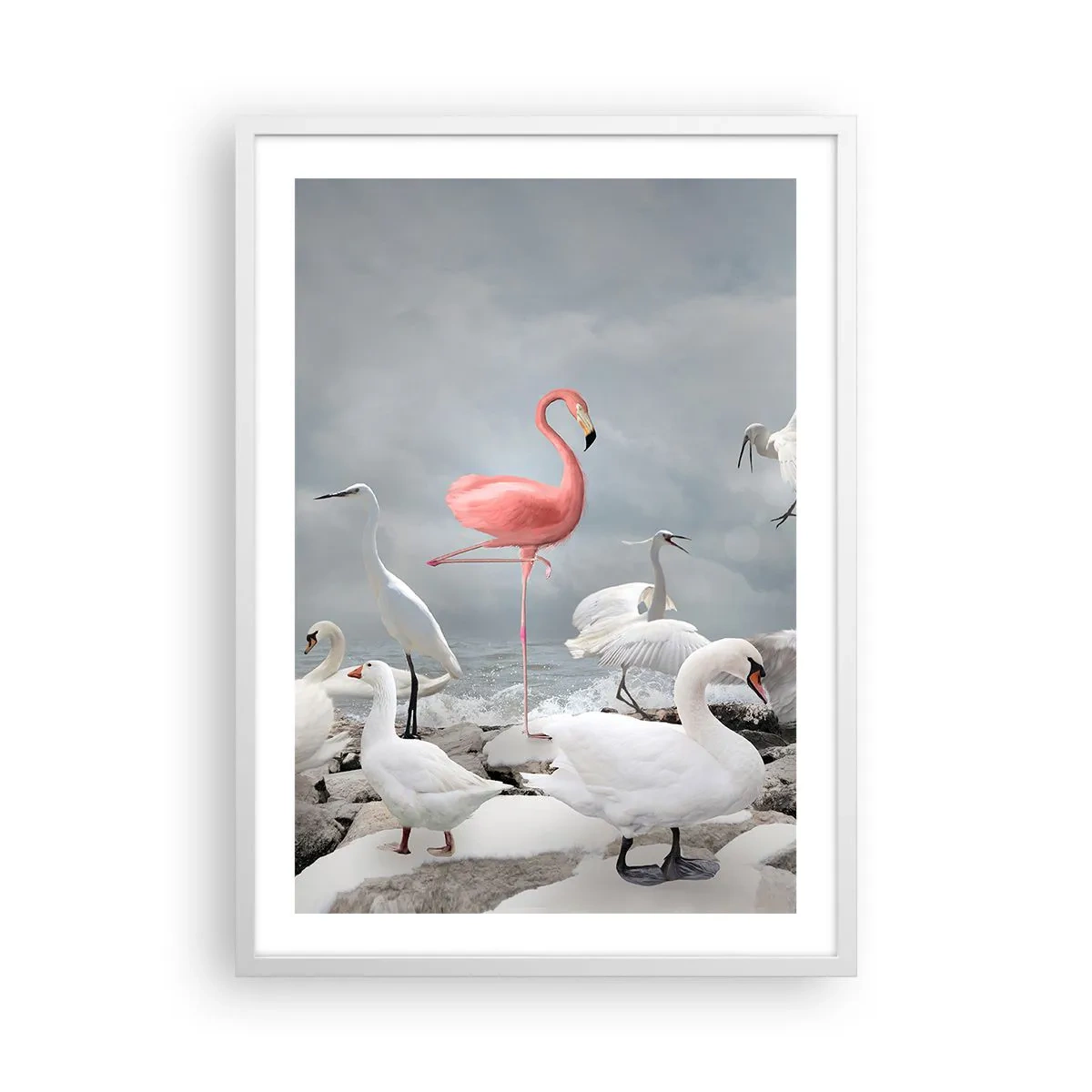 Poster in einem weißen Rahmen - Wie kam ich hier hin? - 50x70 cm