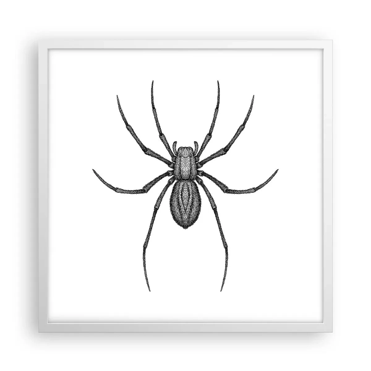 Poster in einem weißen Rahmen - Beunruhigende Präzision - 50x50 cm