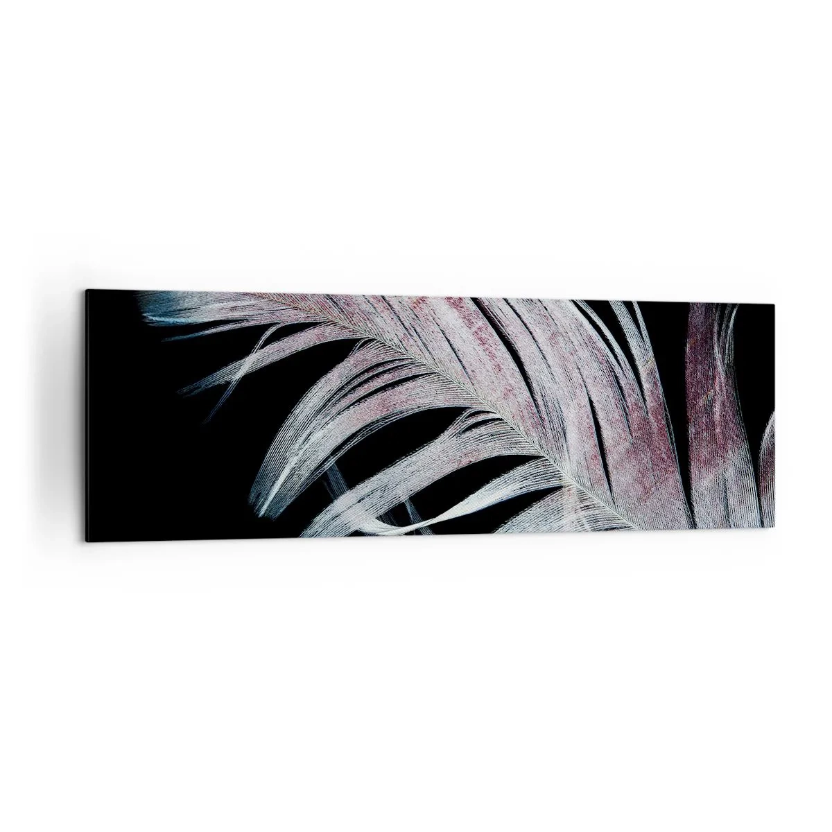 Bild auf Leinwand - Leinwandbild - Eine zarte Feder auf schwarzem Hintergrund in einem künstlerischen Ansatz - 160x50cm - Denke an Berührung - Moderne Wanddekoration für Wohnzimmer und Schlafzimmer ARTTOR