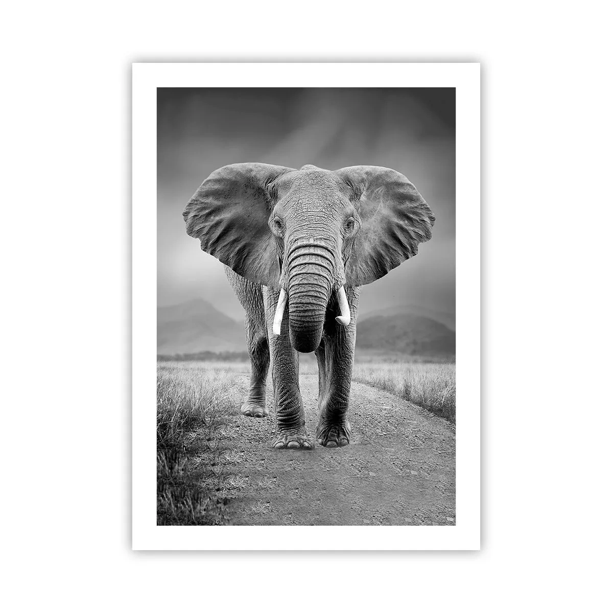 Poster - Ein Elefant vor einer afrikanischen Landschaft in Schwarzweiß - 50x70cm - Der Gastgeber heißt willkommen - Moderne Wanddekoration für Wohnzimmer und Schlafzimmer ARTTOR