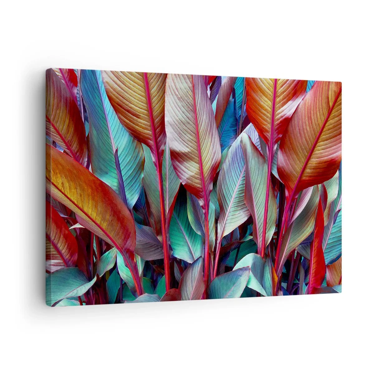 Bild auf Leinwand - Leinwandbild - Bunte Blätter tropischer Pflanzen im Dickicht - 70x50cm - Buntes Dickicht - Moderne Wanddekoration für Wohnzimmer und Schlafzimmer ARTTOR