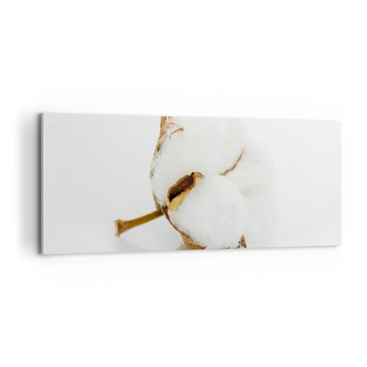 Bild auf Leinwand - Leinwandbild - Ein Baumwollzweig auf hellem Hintergrund in minimalistischem Ansatz - 120x50cm - Von Natur aus weich - Moderne Wanddekoration für Wohnzimmer und Schlafzimmer ARTTOR