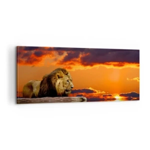 Bild auf Leinwand - Leinwandbild - König der Natur - 100x40 cm