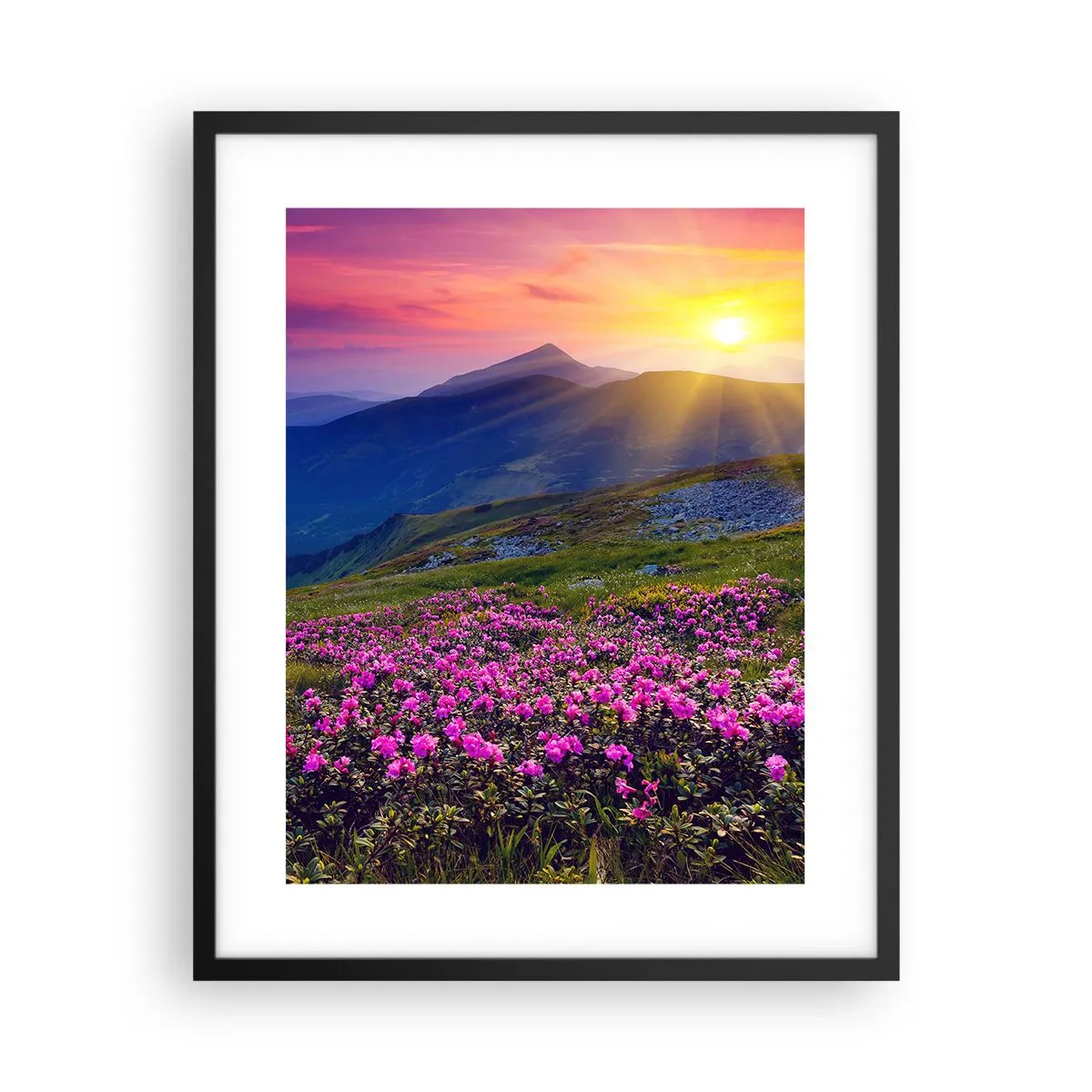 Poster in einem schwarzem Rahmen - … Und drumherum duftet es nach Latschenkiefer und dem Duft von Kräutern - 40x50 cm