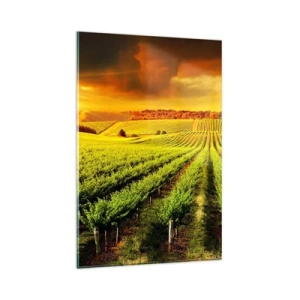 Glasbild - Bild auf glas - Goldene Weinberge, beleuchtet von den Sonnenstrahlen - 80x120cm - Unter der australischen Sonne - Moderne Wanddekoration für Wohnzimmer und Schlafzimmer ARTTOR