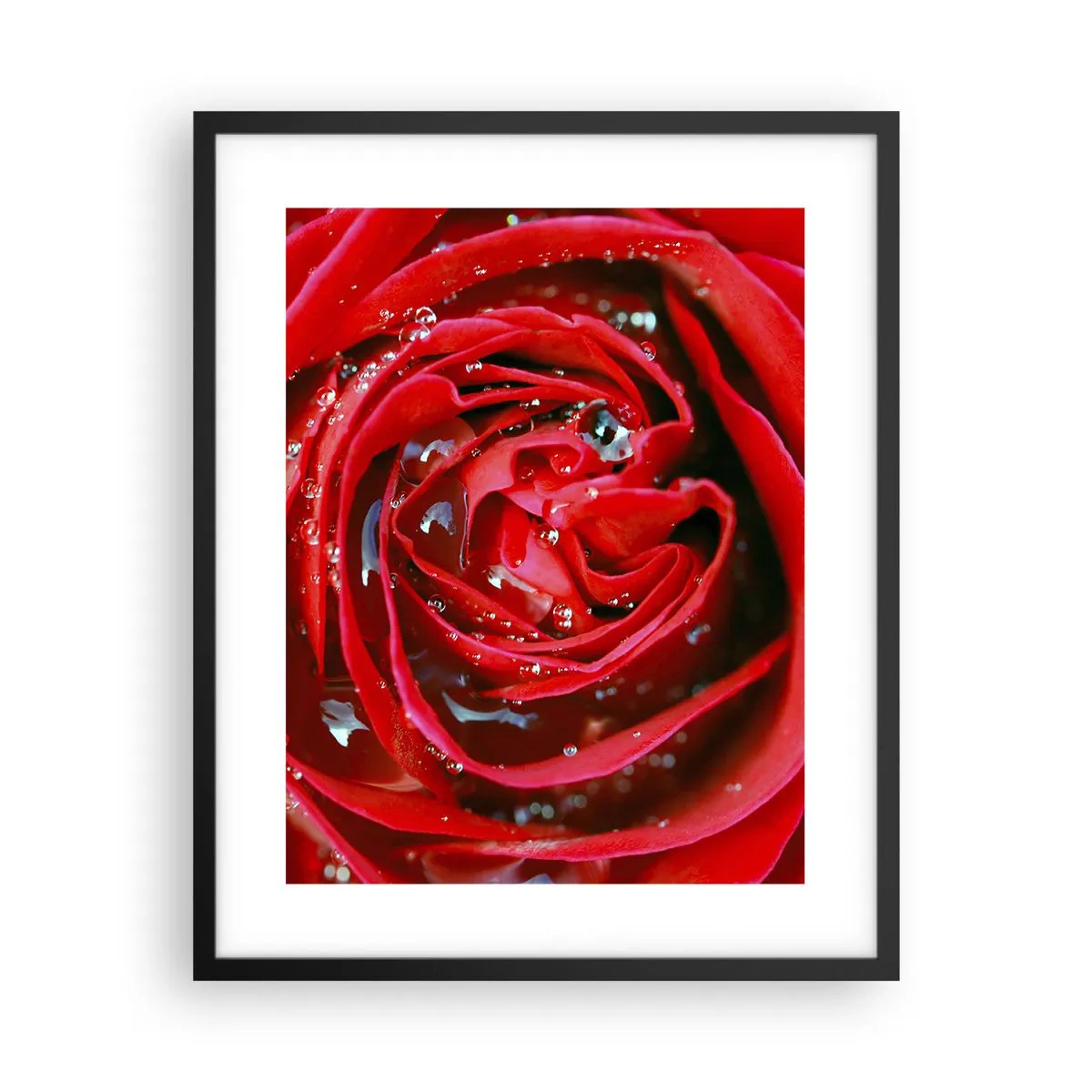 Poster in einem schwarzem Rahmen - In den Tautropfen - 40x50 cm