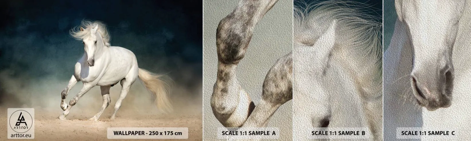 Fototapeten Muster Premium Sand - Freiheit in ihrem reinen Zustand - Pferd, Tier, Weiß - 100x30 cm
