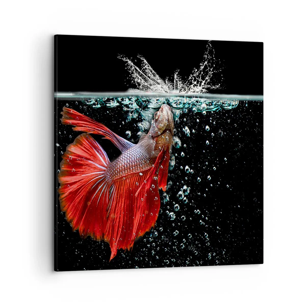 Bild auf Leinwand - Leinwandbild - Du hast drei Wünsche - 50x50 cm