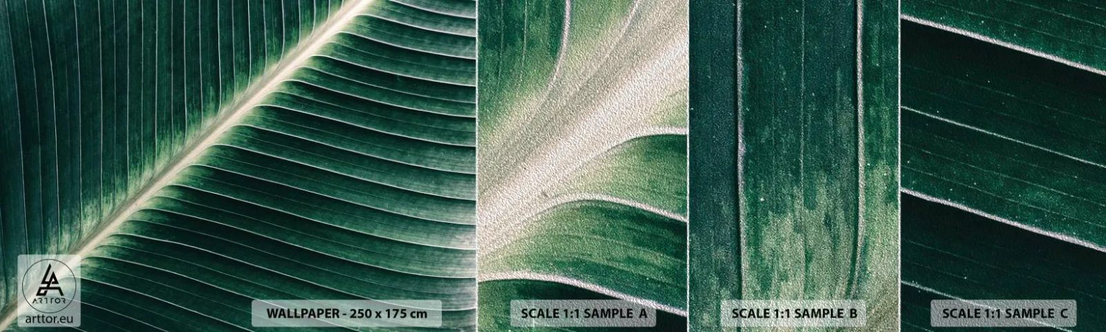 Fototapeten Muster Premium Sand - Rhythmus der Natur - Abstraktion, Grünes Blatt, Grafik - 100x30 cm