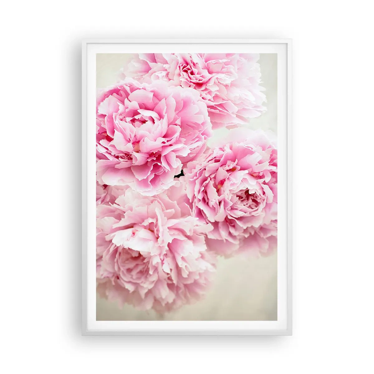Poster in einem weißen Rahmen - In rosa Glamour - 70x100 cm