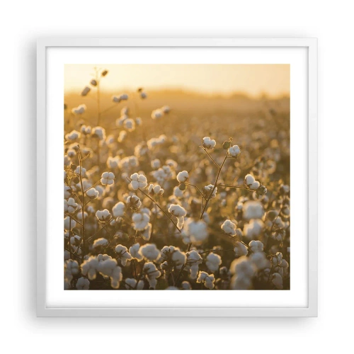 Poster in einem weißen Rahmen - Fluffiges Feld - 50x50 cm