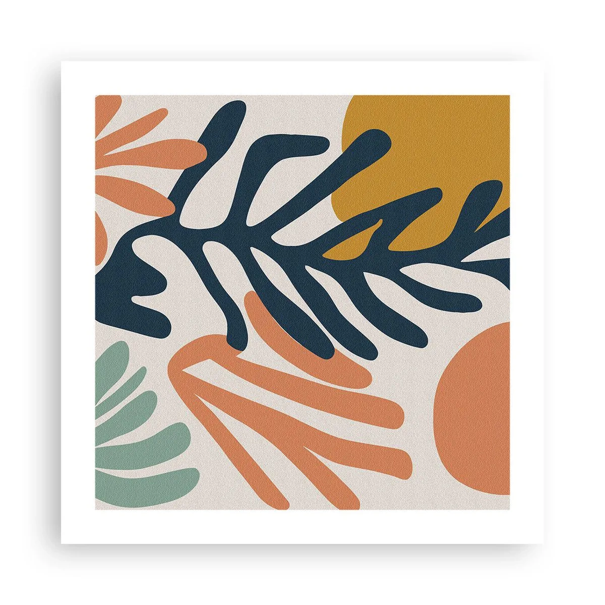 Poster - Korallenmeere - 50x50 cm