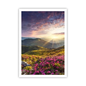 Poster - Frische am Bergmorgen - 70x100 cm