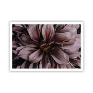 Poster - Ein Blumenherz - 91x61 cm