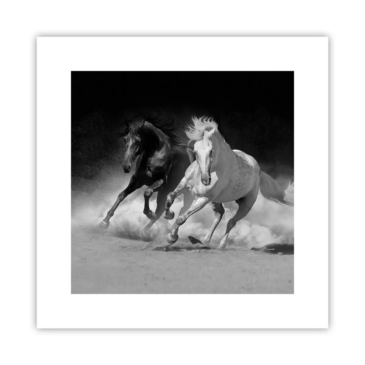 Poster - Galopp der Freiheit - 30x30 cm