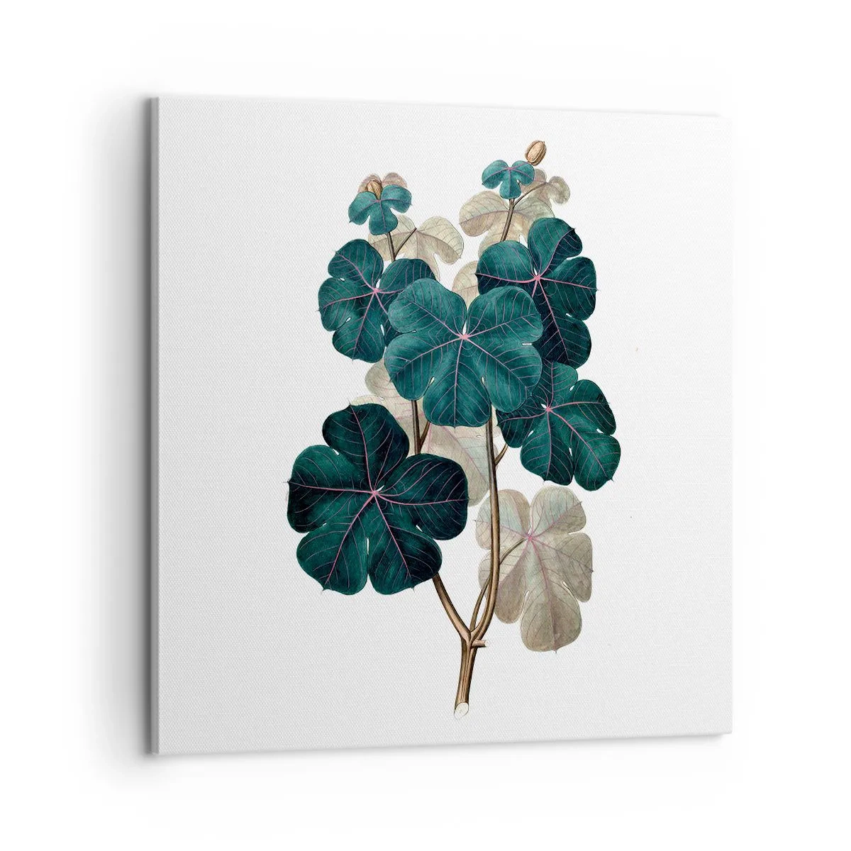 Bild auf Leinwand - Leinwandbild - Aus dem alten Herbarium - 60x60 cm