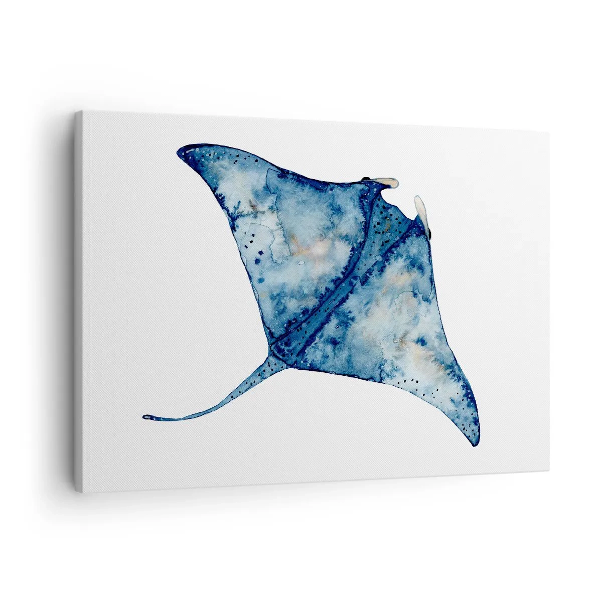Bild auf Leinwand - Leinwandbild - Blauer Stachelrochen im Aquarellstil auf weißem Hintergrund - 70x50cm - Leben im Blau - Moderne Wanddekoration für Wohnzimmer und Schlafzimmer ARTTOR