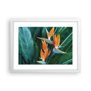 Poster in einem weißen Rahmen - Ist es eine Blume oder ist es ein Vogel? - 40x30 cm