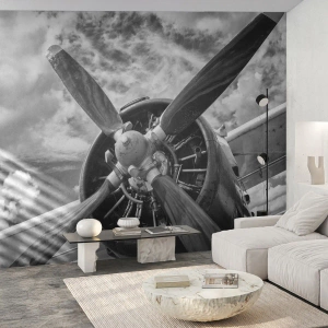 Maßgeschneiderte Fototapete Standard Eco - Eroberer der Lüfte - Flugzeug, Flugzeugpropeller, Jahrgang