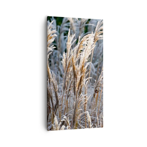 Bild auf Leinwand - Leinwandbild - Gekleidet mit Frost - 55x100 cm