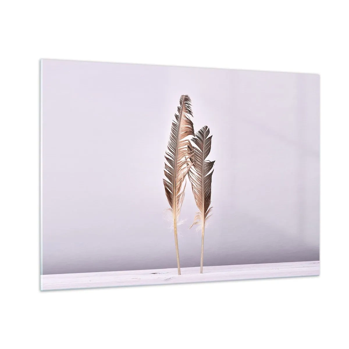 Glasbild - Bild auf glas - Zwei zarte Federn auf hellem Hintergrund - 100x70cm - Gegen das Nichts - Moderne Wanddekoration für Wohnzimmer und Schlafzimmer ARTTOR