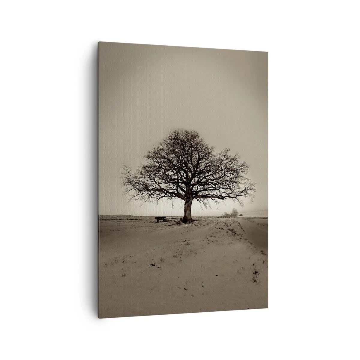 Bild auf Leinwand - Leinwandbild - Ein einsamer Baum in einem Sepia-Feld - 70x100cm - Von hier zu Ewigkeit - Moderne Wanddekoration für Wohnzimmer und Schlafzimmer ARTTOR