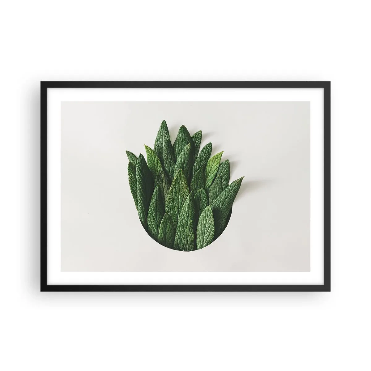Poster in einem schwarzem Rahmen - Eine Komposition aus grünen Blättern auf hellem Hintergrund - 70x50cm - Ungebremste Neugier - Moderne Wanddekoration für Wohnzimmer und Schlafzimmer ARTTOR