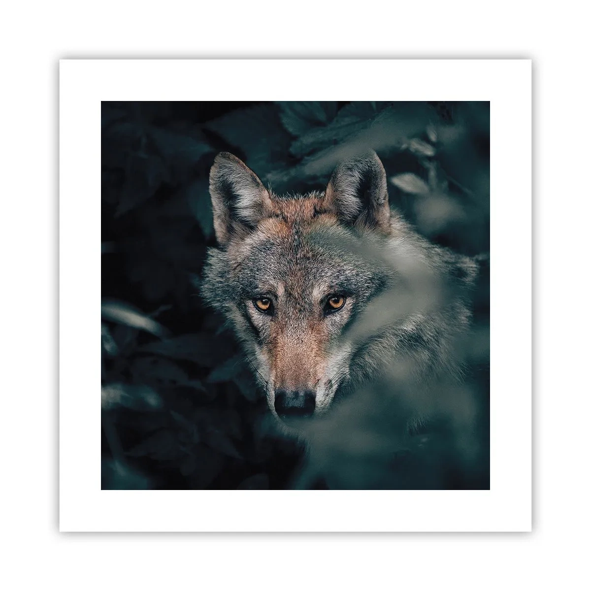 Poster - Jäger - 40x40 cm