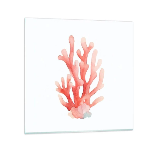 Glasbild - Bild auf glas - Korallenfarbene Koralle - 30x30 cm