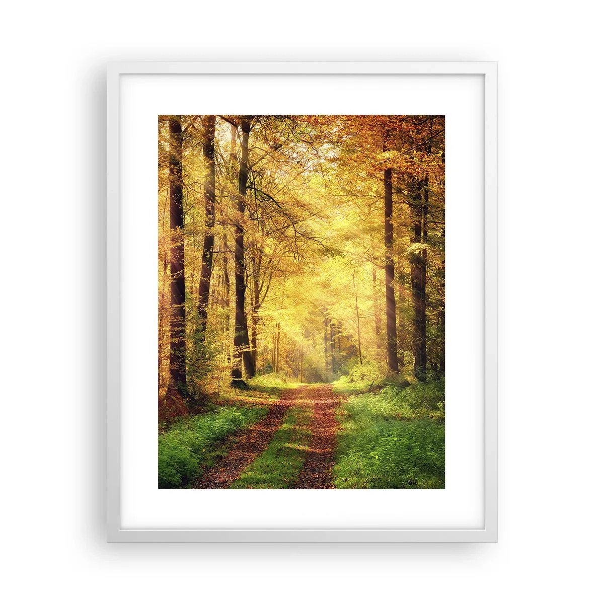 Poster in einem weißen Rahmen - Waldgoldene Stille - 40x50 cm