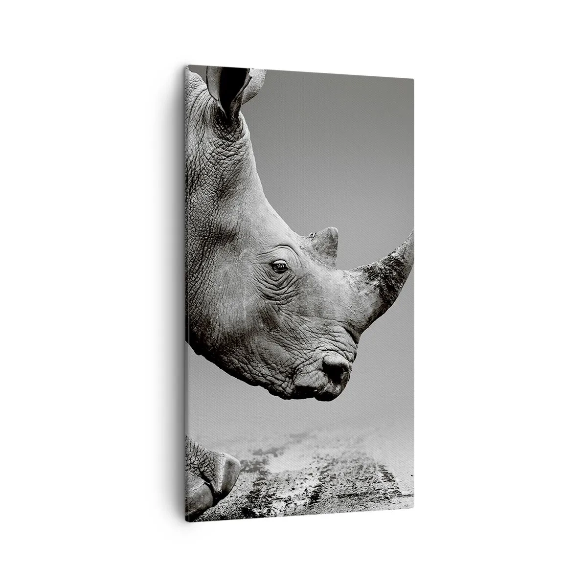 Bild auf Leinwand - Leinwandbild - Unaufhaltsame Stärke - 45x80 cm