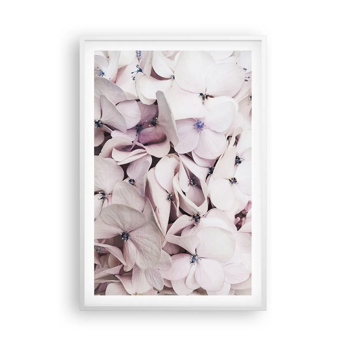 Poster in einem weißen Rahmen - In einer Blumenflut - 61x91 cm