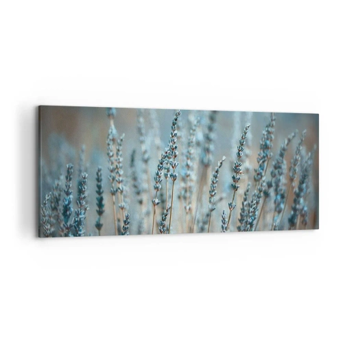 Bild auf Leinwand - Leinwandbild - Lavendel im Feld in dezenten Pastelltönen - 120x50cm - Duftendes Kornfeld - Moderne Wanddekoration für Wohnzimmer und Schlafzimmer ARTTOR