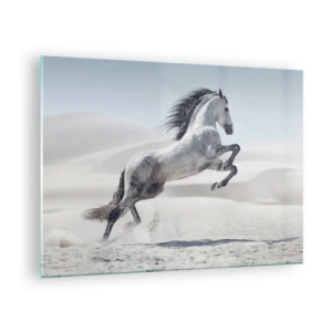 Glasbild - Bild auf glas - Ein weißes Pferd springt vor der Kulisse der Wüstendünen - 70x50cm - Arabischer Prinz - Moderne Wanddekoration für Wohnzimmer und Schlafzimmer ARTTOR