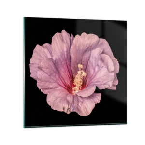 Glasbild - Bild auf glas - Direkt ins Herz - 60x60 cm