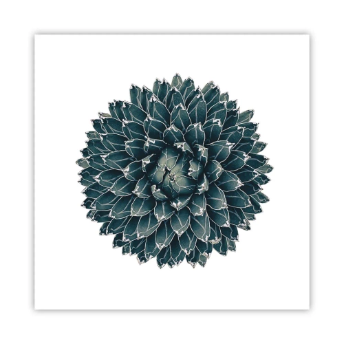 Poster - Stern der Wüste - 60x60 cm