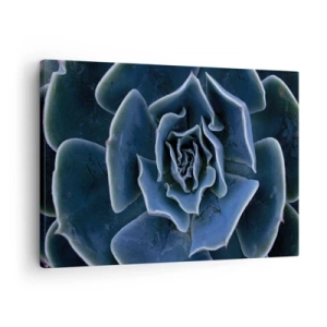 Bild auf Leinwand - Leinwandbild - Nahaufnahme einer grünen Sukkulentenrosette - 70x50cm - Wüstenblume - Moderne Wanddekoration für Wohnzimmer und Schlafzimmer ARTTOR