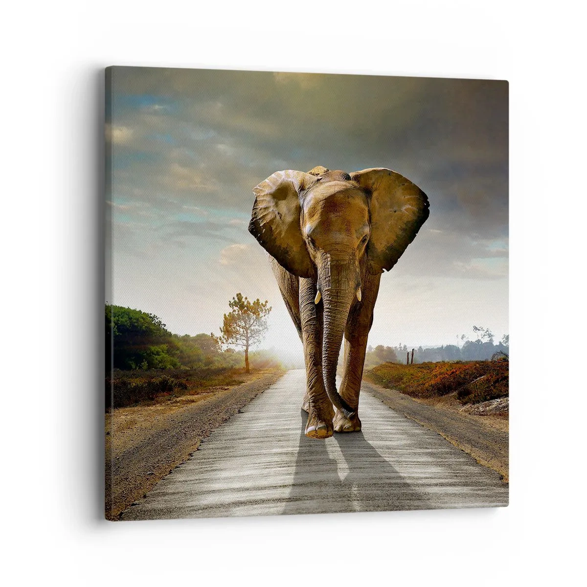 Bild auf Leinwand - Leinwandbild - Und schon gar nicht in einem Porzellanlager - 40x40 cm