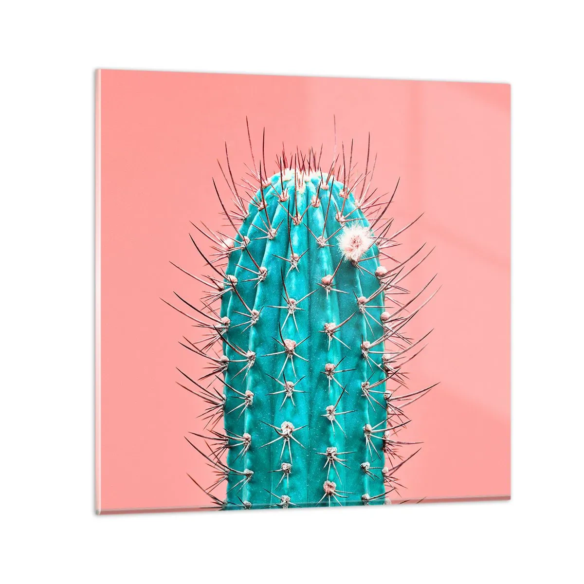 Glasbild - Bild auf glas - Schau einfach hin - 50x50 cm