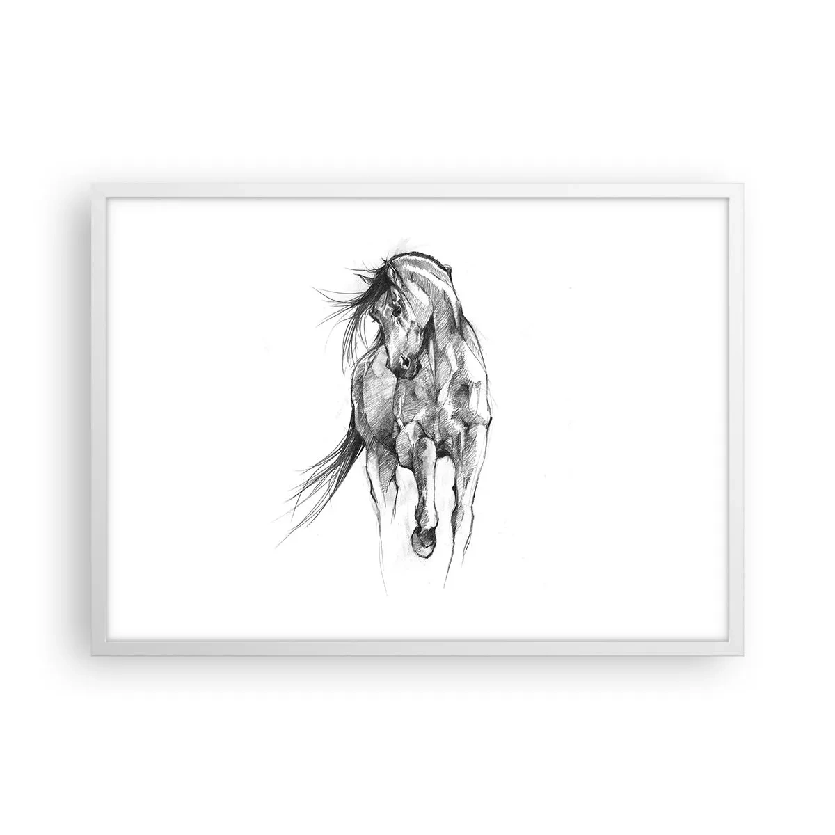 Poster in einem weißen Rahmen - Im anmutigen Trab - 70x50 cm