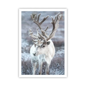 Poster - Porträt in der Sonne - 70x100 cm