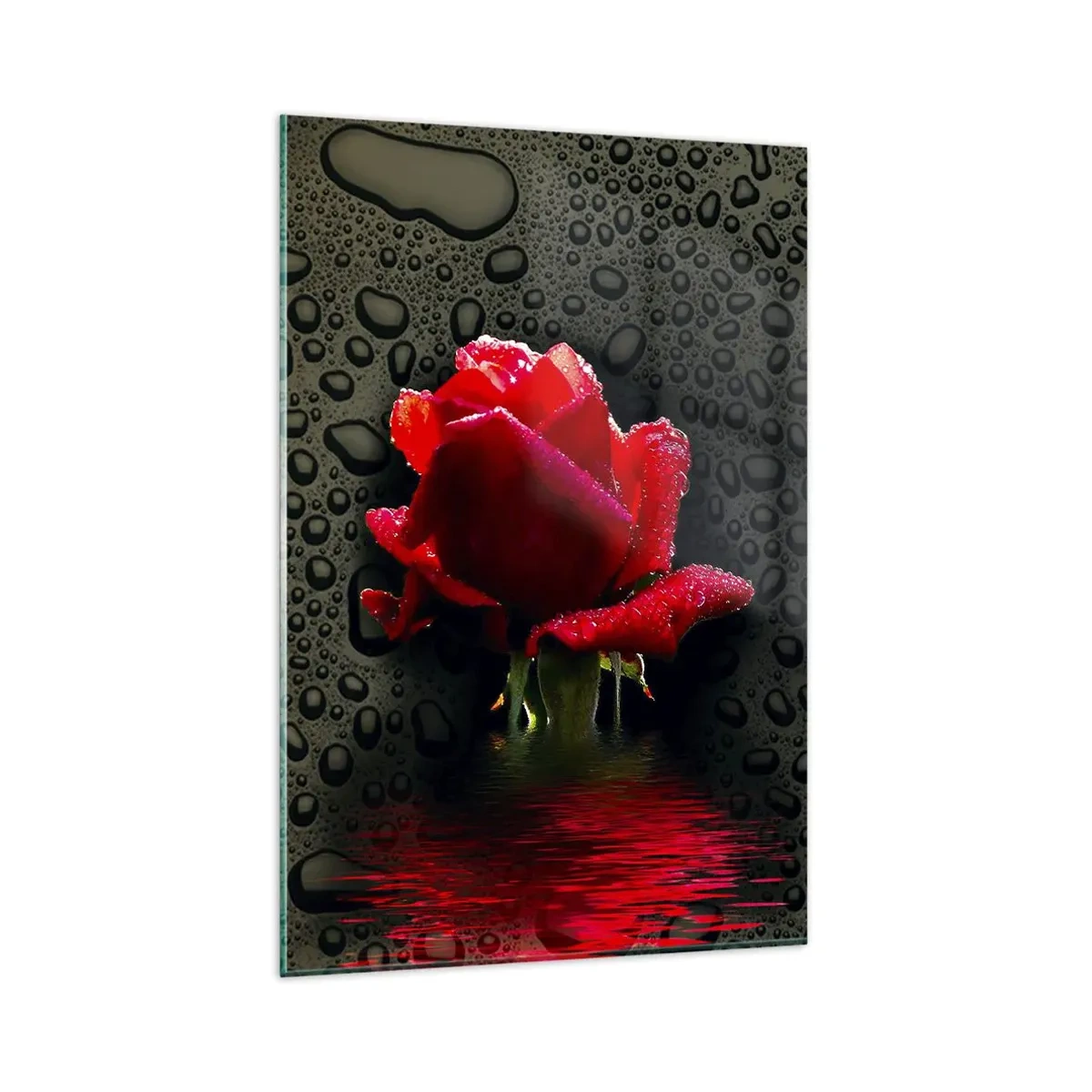 Glasbild - Bild auf glas - Rote Rose mit Wassertropfen auf dunklem Hintergrund - 80x120cm - rot und Schwarz - Moderne Wanddekoration für Wohnzimmer und Schlafzimmer ARTTOR