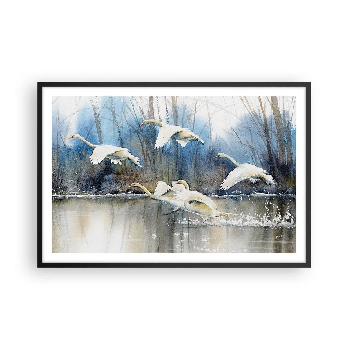 Poster in einem schwarzem Rahmen - Wie im Märchen von den wilden Schwänen - 91x61 cm