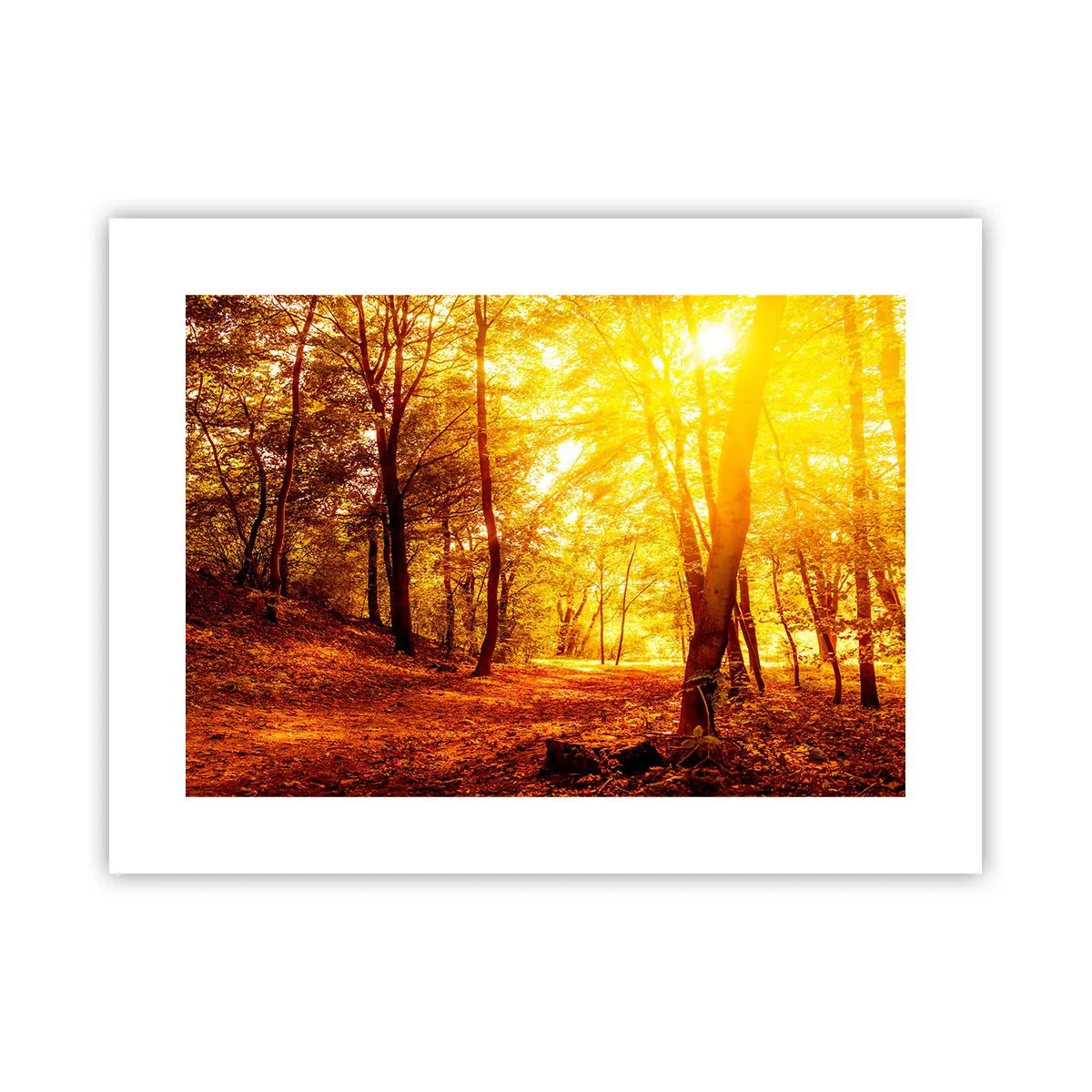 Poster - Auf die goldene Lichtung - 40x30 cm