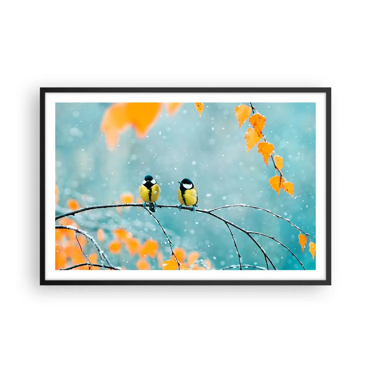 Poster in einem schwarzem Rahmen - Vogelklatsch - 91x61 cm