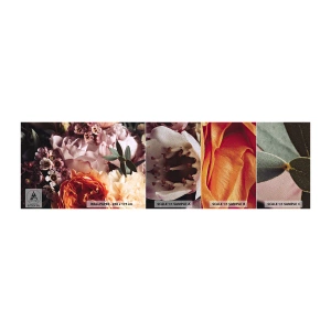 Fototapeten Muster Premium Sand - Eingehüllt in Schönheit - Blumen, Blumenstrauß, Rose - 100x30 cm