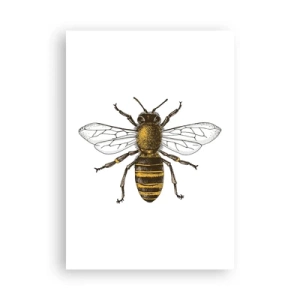 Poster - Schön und gut - 70x100 cm