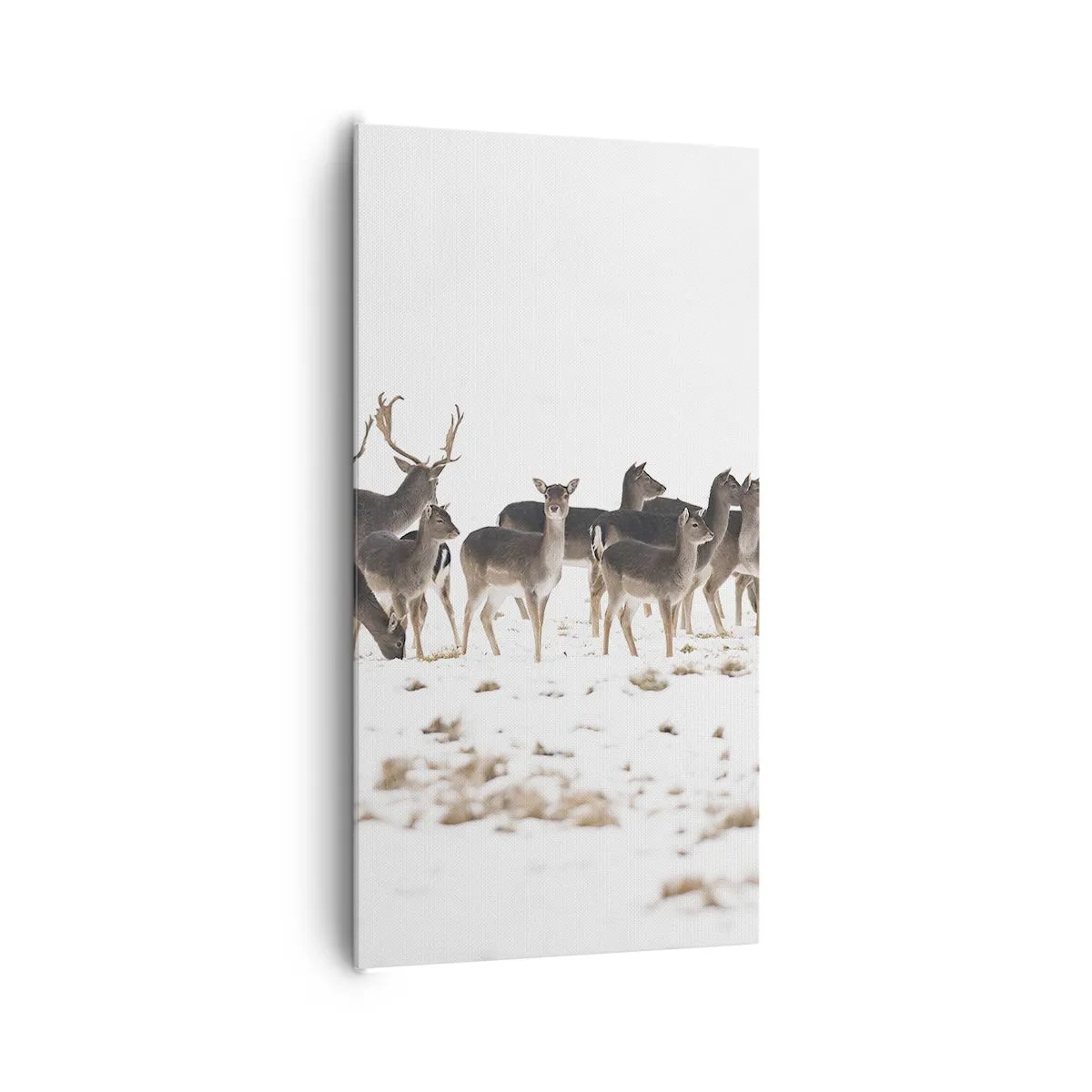 Bild auf Leinwand - Leinwandbild - Kommen die Weihnachten? - 65x120 cm