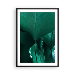Poster in einem schwarzem Rahmen - Nahaufnahme großer grüner Blätter, die Struktur und Textur zeigen. - 50x70cm - Dem Licht zugewandt - Moderne Wanddekoration für Wohnzimmer und Schlafzimmer ARTTOR