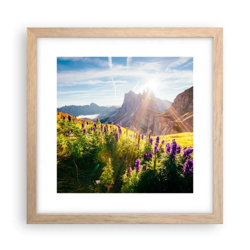 Poster in einem Rahmen aus heller Eiche - Das geheime Leben der Kräuter - 30x30 cm